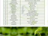 Pesticide manufacturer and supplier worldwide - photo 5