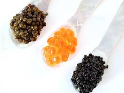 Premium Caviar Available in London, UK deliveries / Икра в наличии!