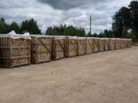 Premium Kiln Dried Birch Logs - photo 1