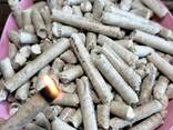 Premium Oak Wood Pellets - photo 1