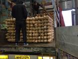 Продам колья оцилиндрованные, окоренные - photo 6