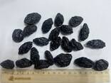 Prunes unpitted “Vengerka” from Uzbekistan - photo 2