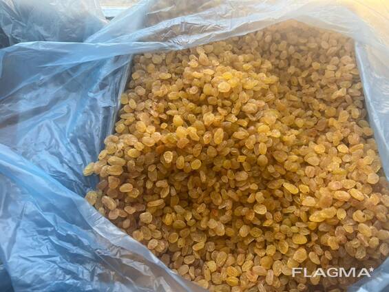 Raisins Golden Kalifar