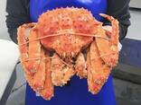 Red King Crab - photo 2