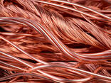 Red Mill-Berry High Quality 99.95%-99.99% Copper Scrap - photo 2