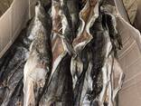 Рыба вяленая опт - photo 5