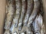 Рыба вяленая опт - photo 6