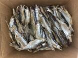 Рыба вяленая опт - photo 7