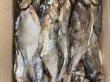 Рыба вяленая опт - photo 10