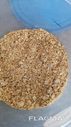Selling soybean meal, starting at 300 tons (foreign currency contract)