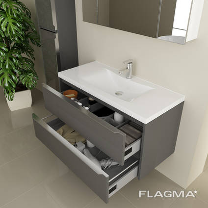Bathroom cabinet with washbasin