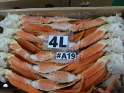 Snow crab, clusters, cooked-frozen, 4L size