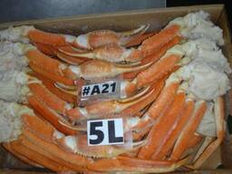 Snow crab, clusters, cooked-frozen, 5L size