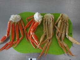 Snow crab, clusters, cooked-frozen, L size