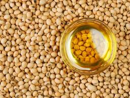 Soybean oil