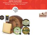 Hard cheeses Spanish - photo 1