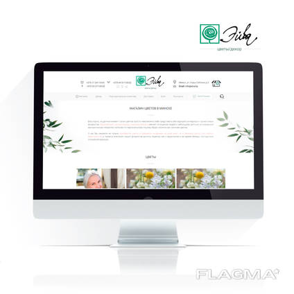 Website development