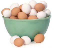 Wholesale Fresh Table Chicken Eggs-Fresh Table for Chicken Eggs/ Chicken Hatching Eggs