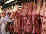 Wholesale supply of frozen pork from spain - photo 3