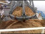 Wood chips - photo 1