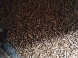 Wood pellets A2 (cappuccino color) - photo 2