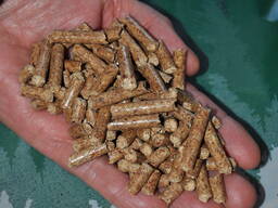 Wood pellets from Ukraine