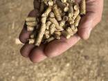 Wood pellets | Manufacturer | 1000 tons p. m. | Eco-fuel | EU EXPORT-IMPORT - photo 1