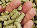 Wood pellets poland wood pellet manufacturers wooden pellet - photo 3
