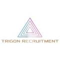 Trigon Recruitment (Трудоустройство), LTD